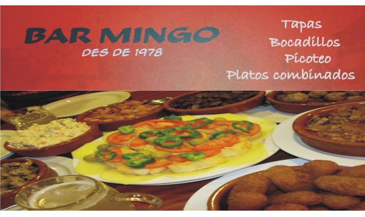 Bar Mingo